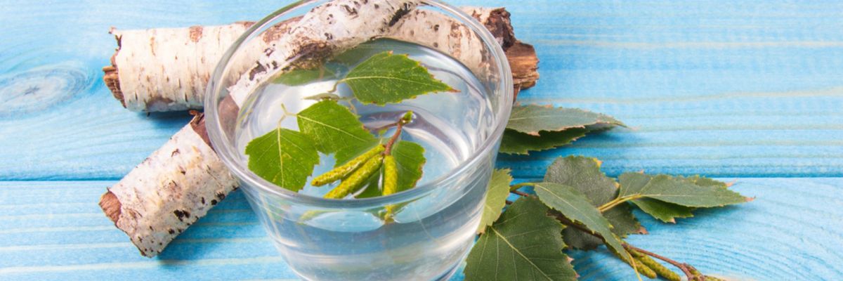 dieta sciroppo di linfa prima e dopo