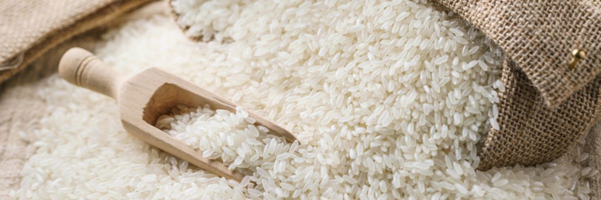 dieta di riso con latte per perdere peso