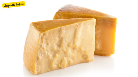 parmigiano