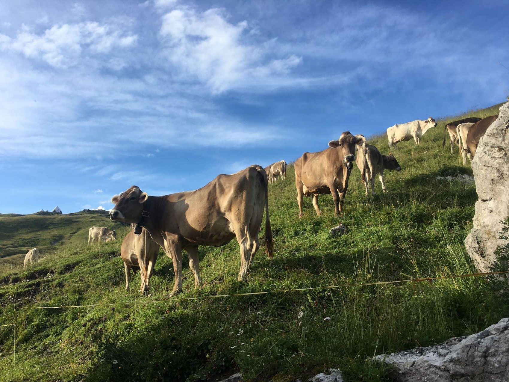 Formaggi Dop e territorio: appuntamento con #emozioni in valle