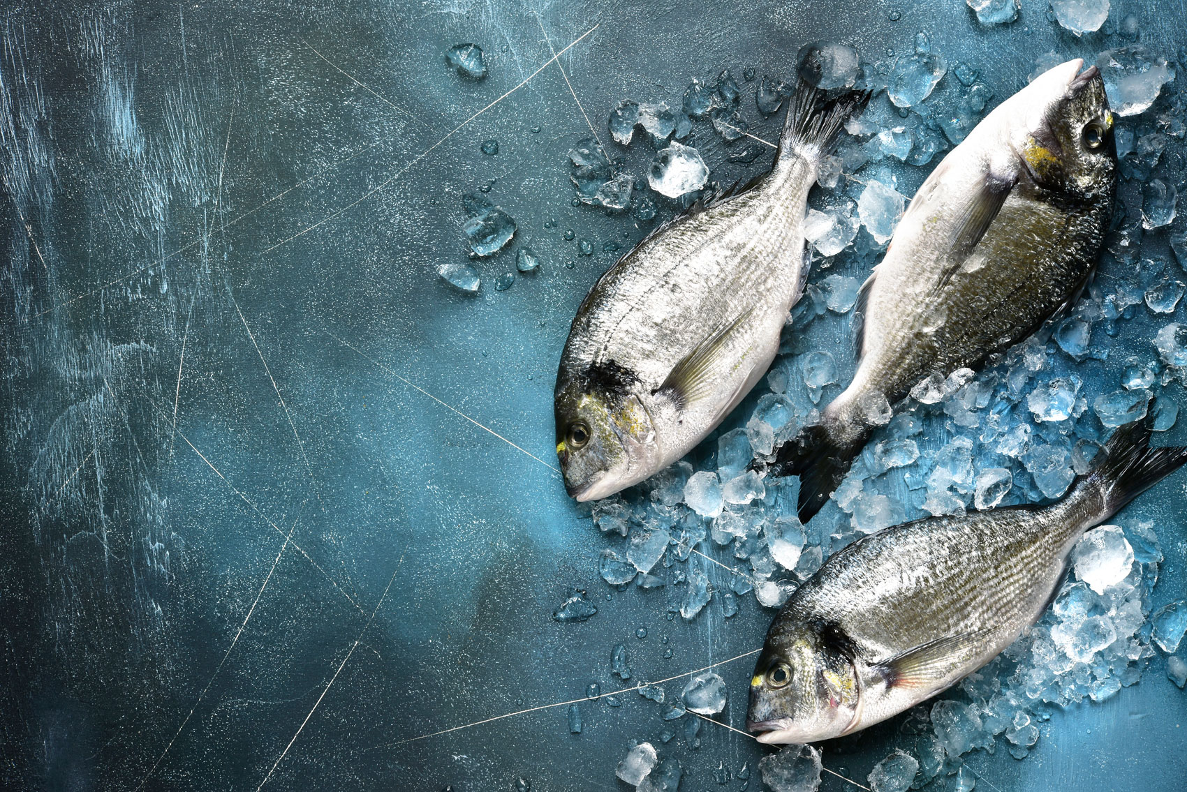 Pesca elettrica: che cos’è e perché fa male all’ambiente Pesca elettrica: che cos’è e perché fa male all’ambiente