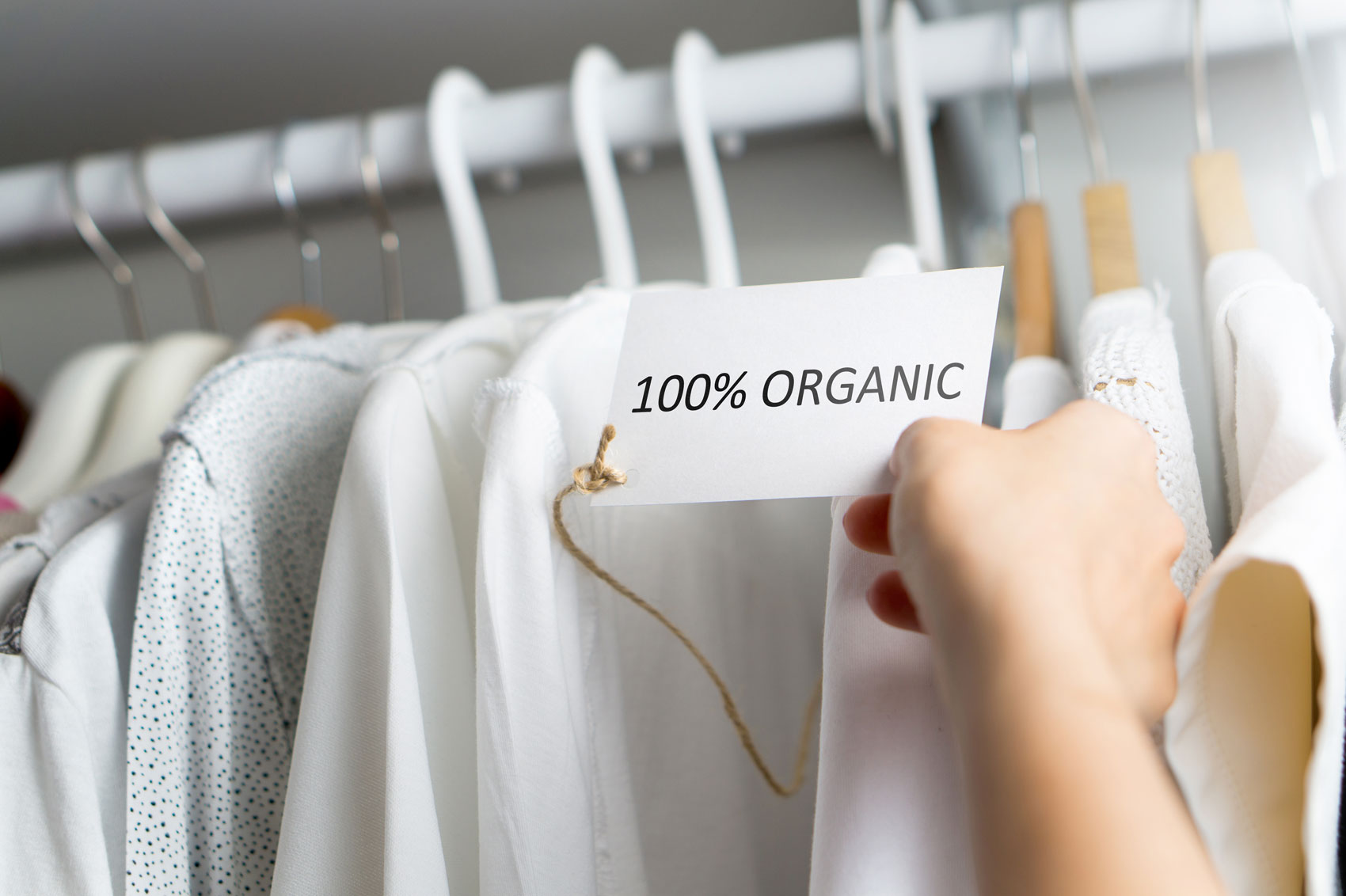 Moda green ed ecosostenibile: non tutto è amico dell’ambiente