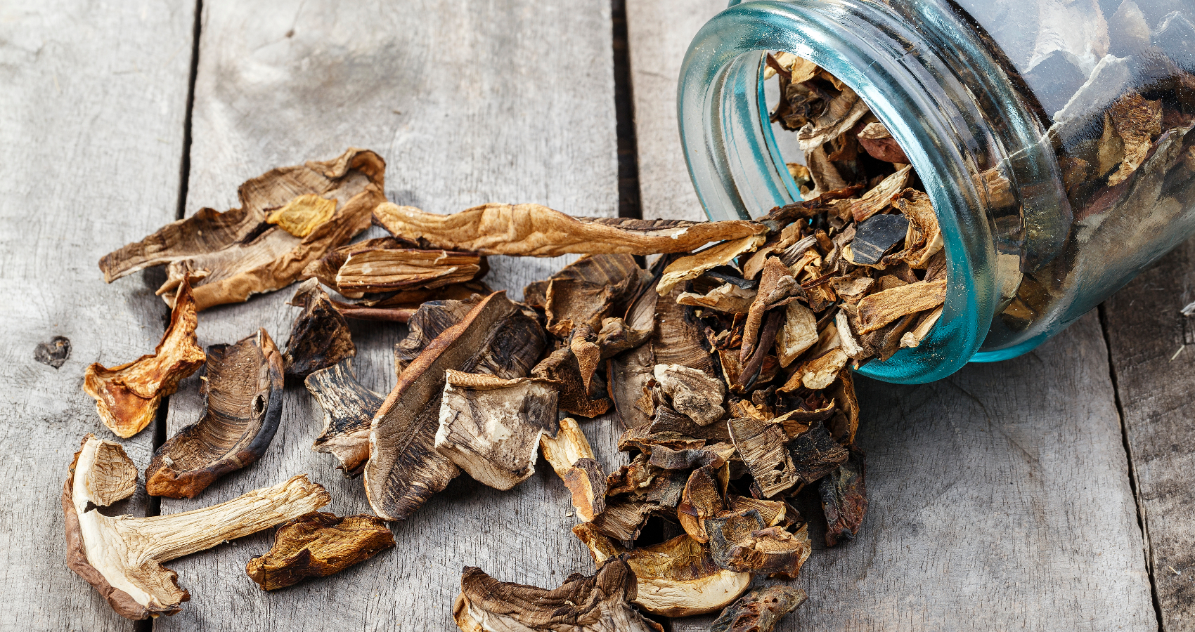 Funghi Shiitake: cosa sono, le proprietà e gli utilizzi