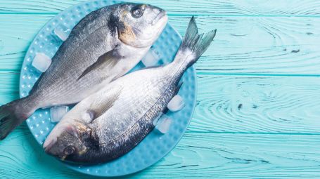 Pesce crudo di dorado in piatto con ghiaccio