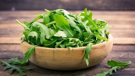 rucola