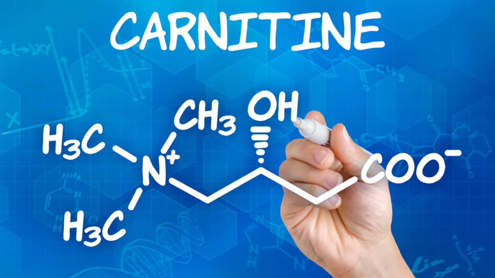 Carnitina: tipologie e caratteristiche
