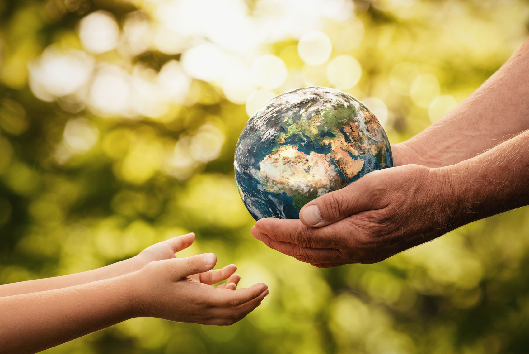 Cambiamenti climatici, i segnali positivi secondo Hannah Ritchie