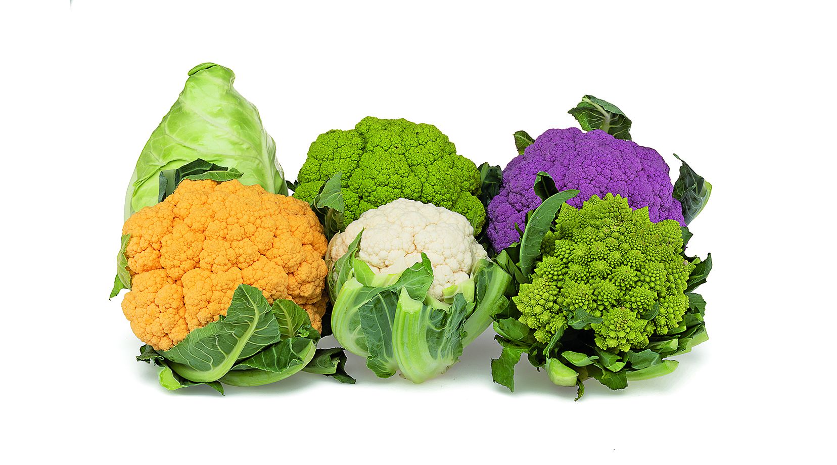 Semi Di Cavolfiore Precoce "Brassica Oleracea" Napoletano Febbrarese - Foto 11