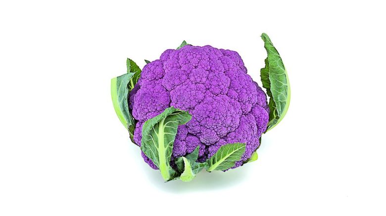 Cavoli Tutte La Varieta Come Cucinarli Starbene