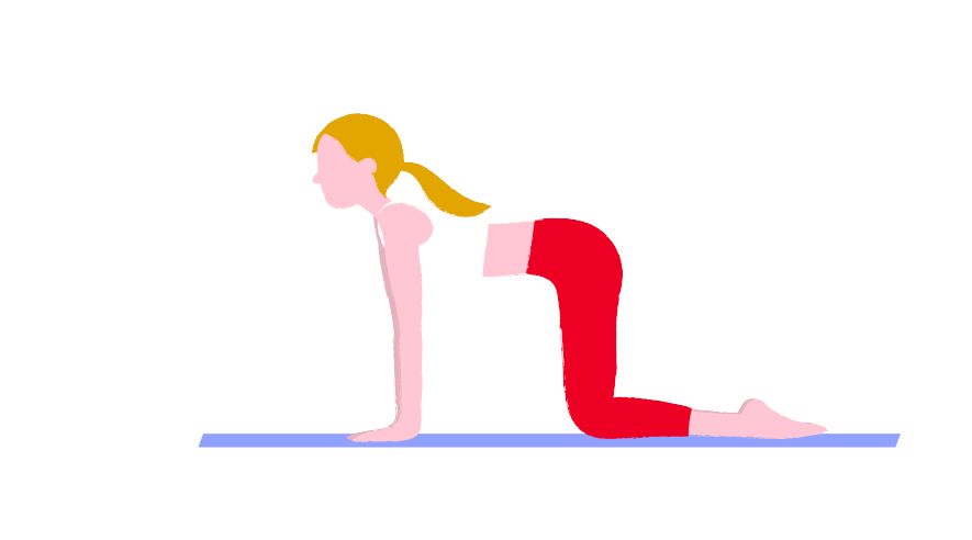 Plank: le asana per prepararsi e aumentare la resistenza