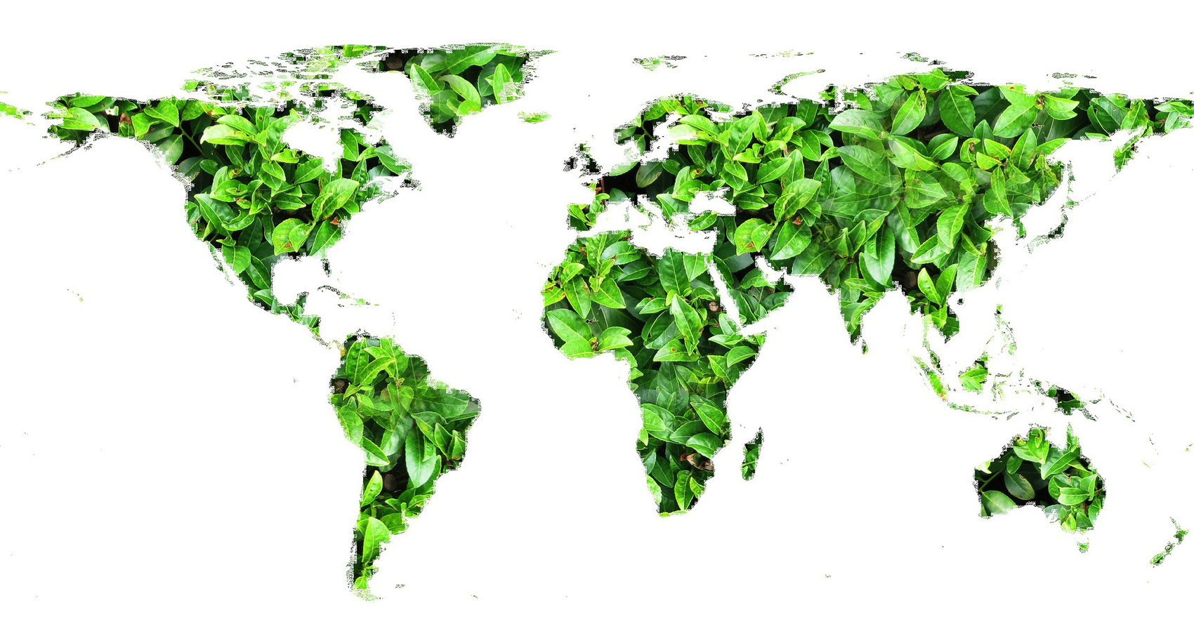 Ambiente: le iniziative a tutela delle foreste di terra e di mare