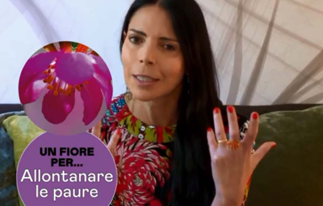 Floriterapia: Dog Rose, il fiore per allontanare paure e insicurezze – Video Floriterapia: Dog Rose, il fiore per allontanare paure e insicurezze – Video