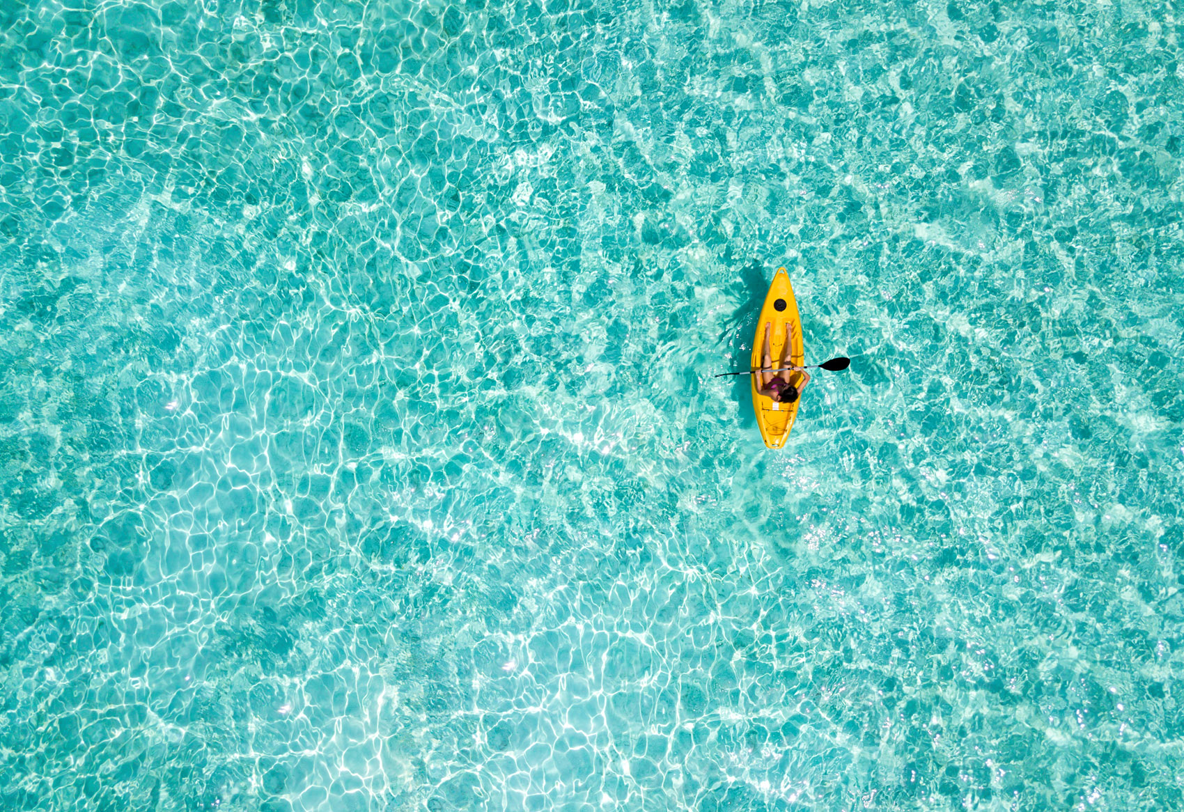 Come scegliere l’attrezzatura per nuotare in mare – Video
