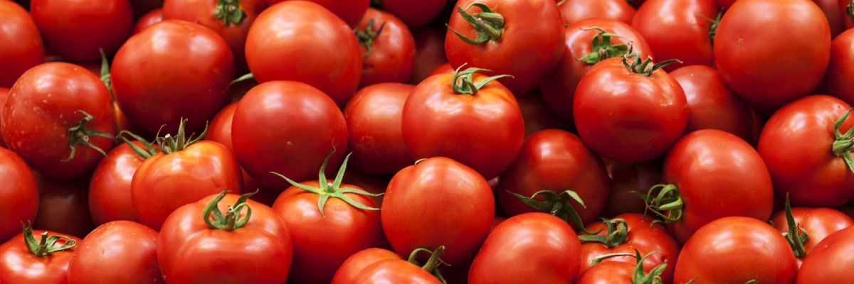Come Cucinare I Pomodori In Modo Sano Starbene