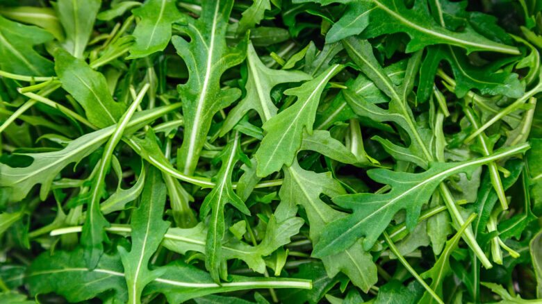 Rucola l’amica delle tue ossa contro l’osteoporosi Rucola l’amica delle tue ossa contro l’osteoporosi