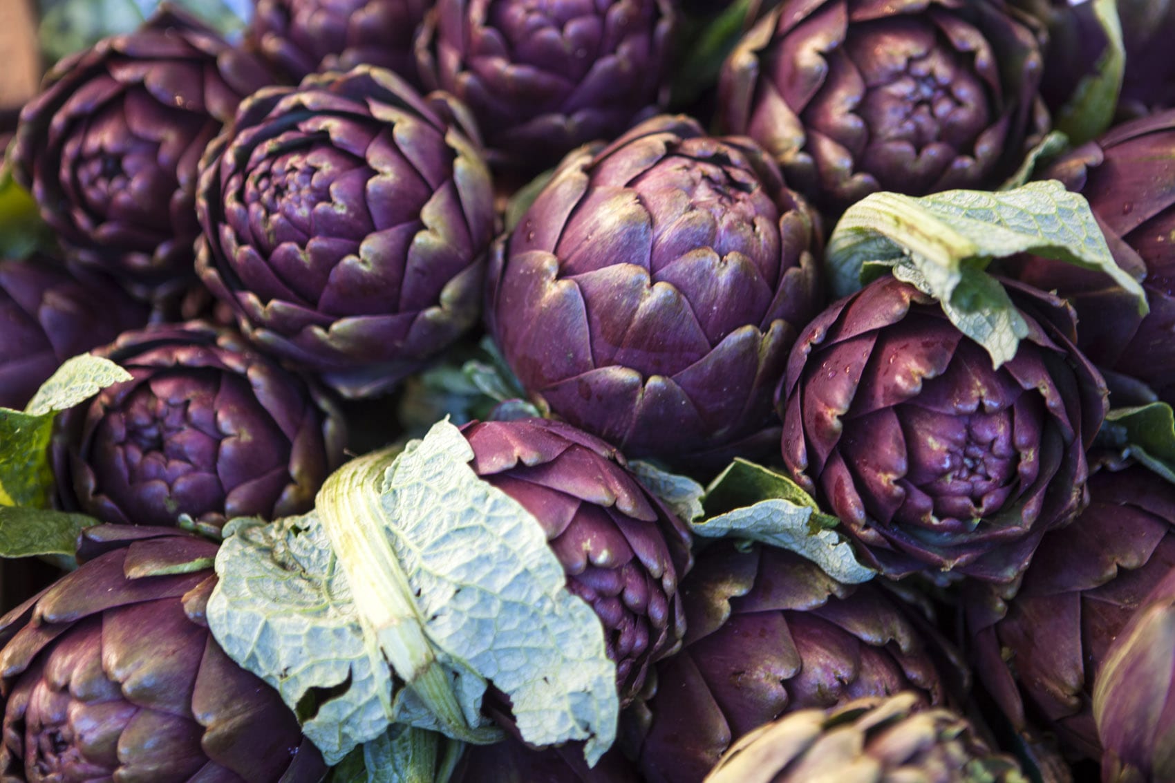 Carciofi: proprietà e benefici e come mangiarli