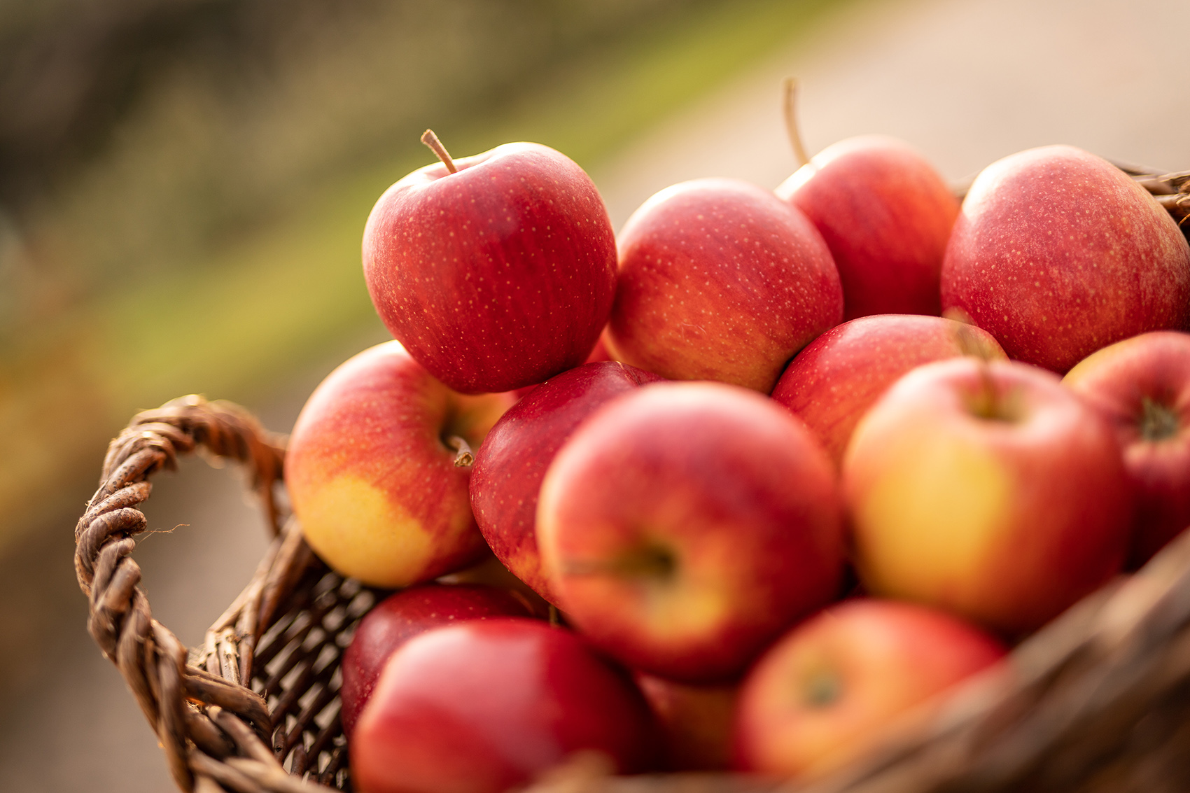 Mele rosse: perché fanno bene e come consumarle