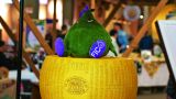 Fico: al parco di Bologna protagonista il Parmigiano Reggiano