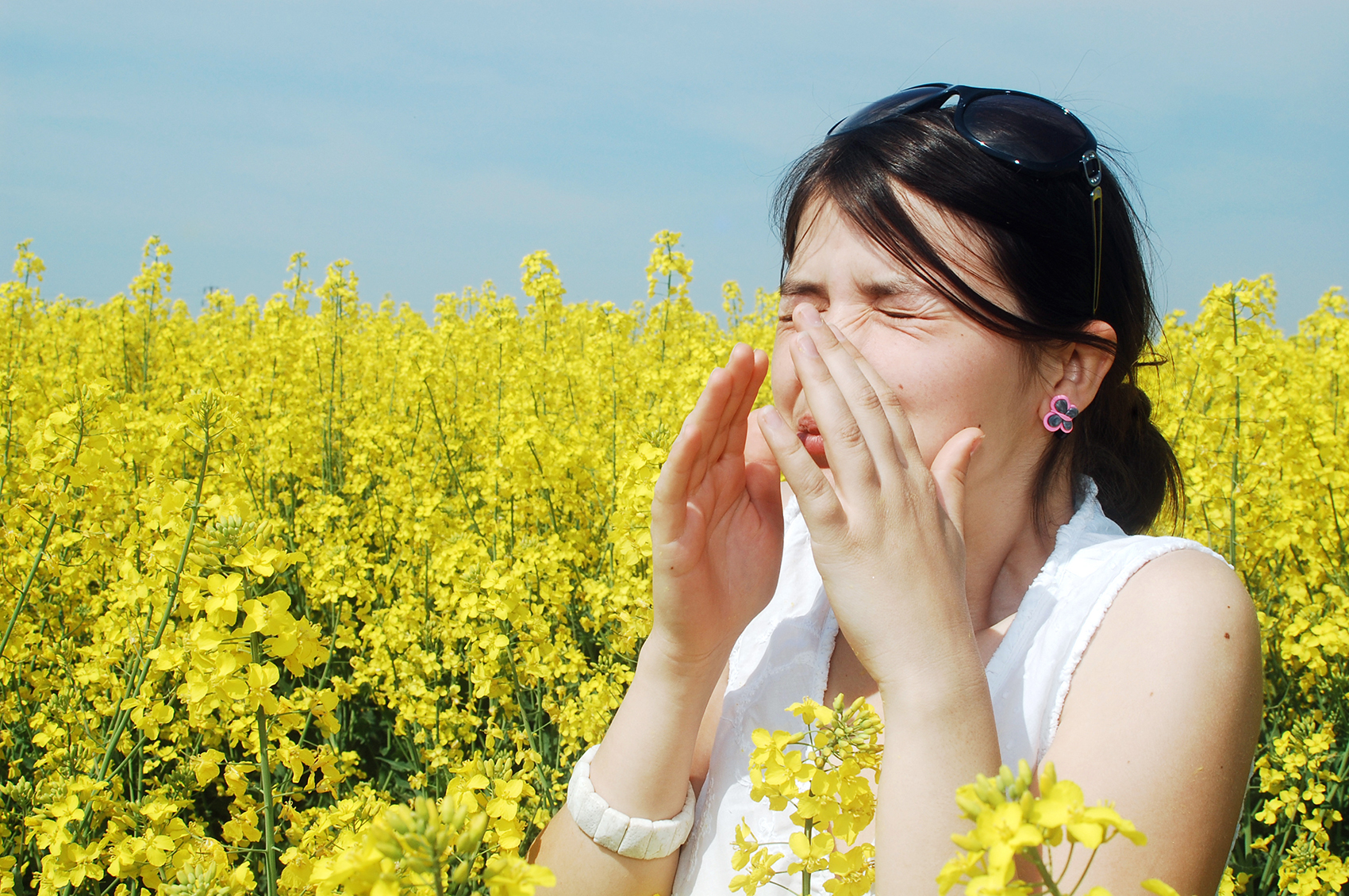 Sistema immunitario: se lo conosci gestisci meglio le allergie Sistema immunitario: se lo conosci gestisci meglio le allergie