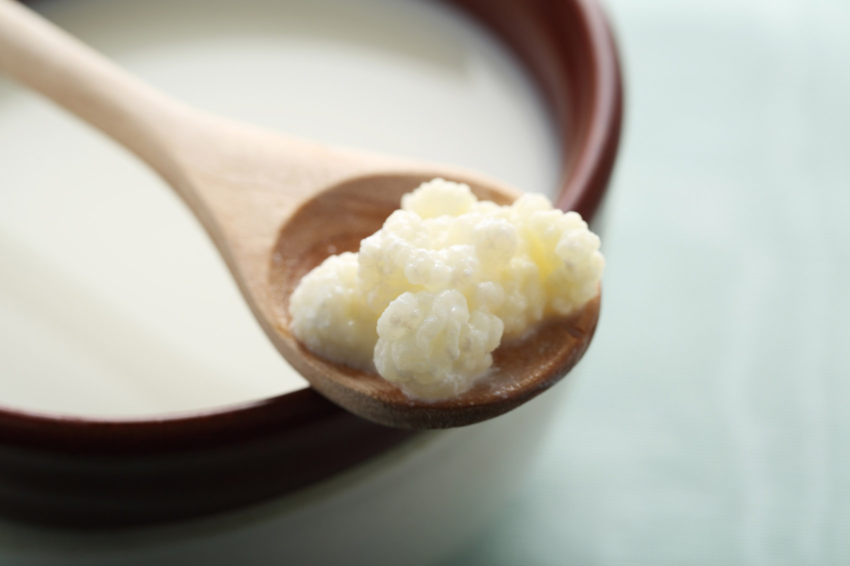 Kefir: che cos’è, perché fa bene e come si prepara Kefir: che cos’è, perché fa bene e come si prepara