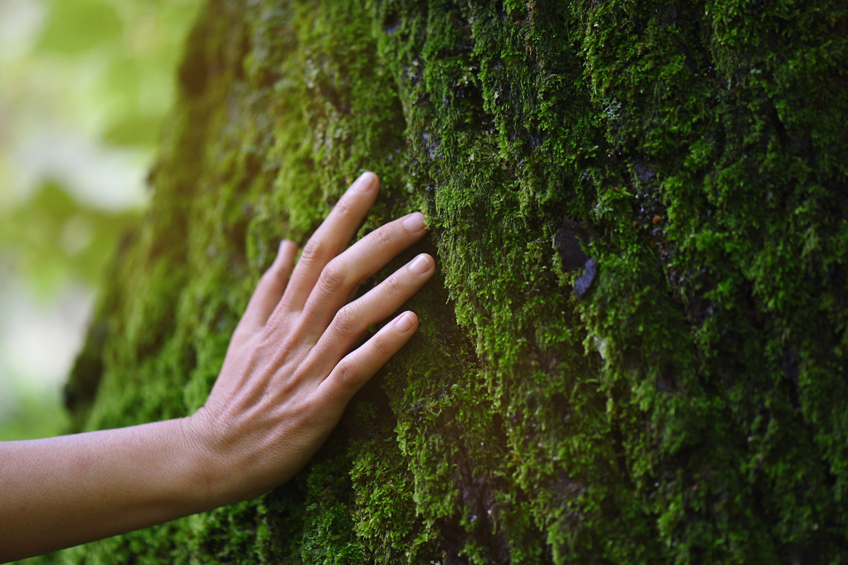 Ecologia interiore, come liberarsi da ciò che inquina mente e pianeta