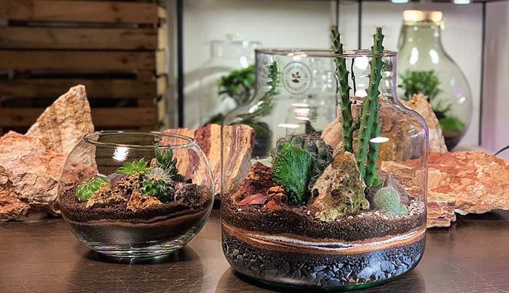 Terrarium, come creare piccoli giardini e paesaggi vegetali