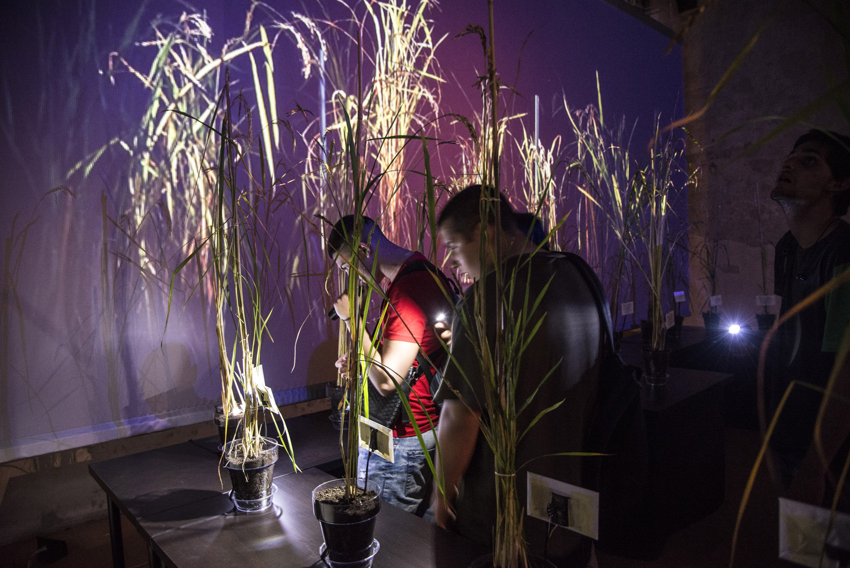 A Mantova il Food&Science Festival 2023 A Mantova il Food&Science Festival 2023