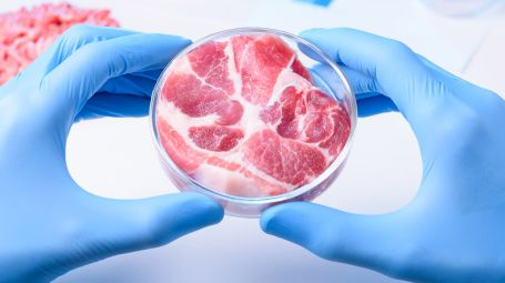 carne sintetica, laboratorio