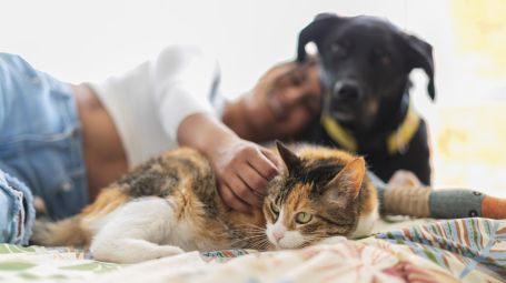 Gli animali ci rendono migliori. Lo dice la scienza