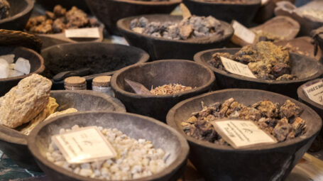 A Urbino c’è Biosalus, il festival dedicato al biologico e al benessere