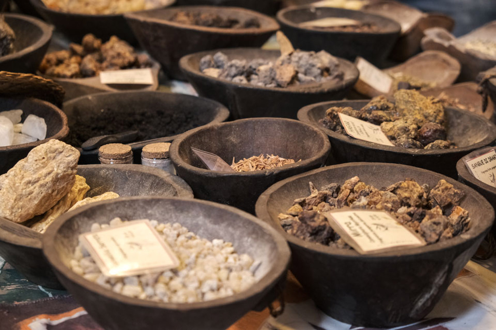 A Urbino c’è Biosalus, il festival dedicato al biologico e al benessere A Urbino c’è Biosalus, il festival dedicato al biologico e al benessere