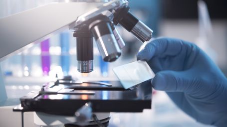 vetrino al microscopio, laboratorio, ricerca, scienziato