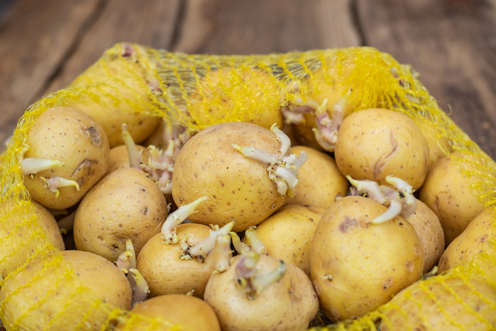 Consigli per fare la spesa in modo sano e intelligente Consigli per fare la spesa in modo sano e intelligente
