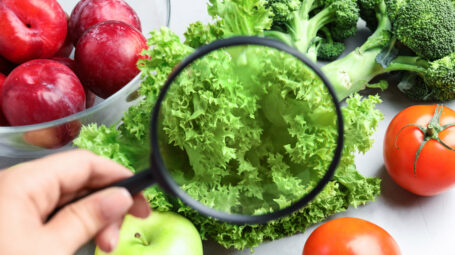 verdure, lente ingrandimento, batterio, listeria, insalata, pomodori