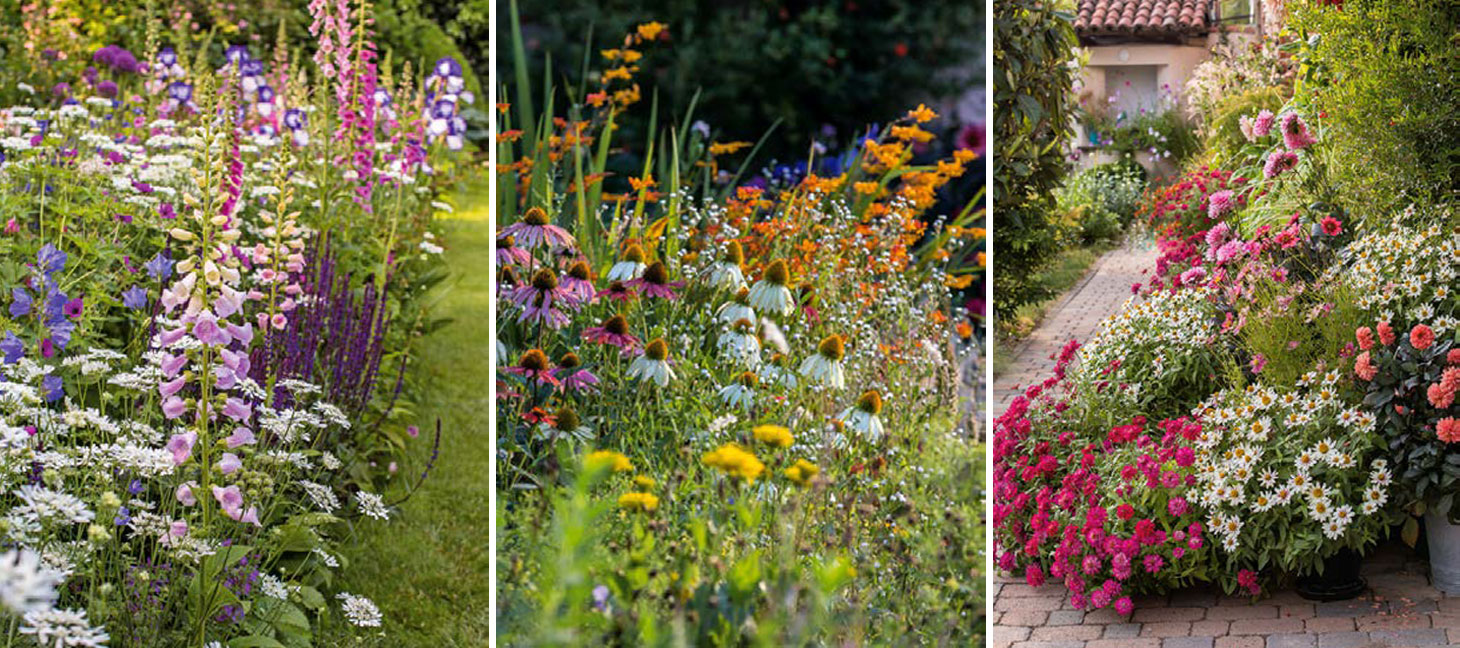 Fioriture: come avere un giardino bello e fiorito secondo natura Fioriture: come avere un giardino bello e fiorito secondo natura