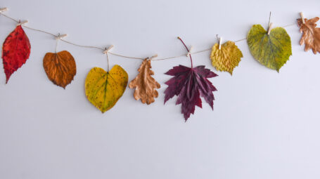 foglie, autunno, creatività