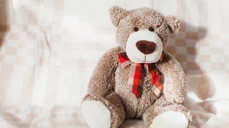 orsacchiotto di peluche, divano, giocattolo