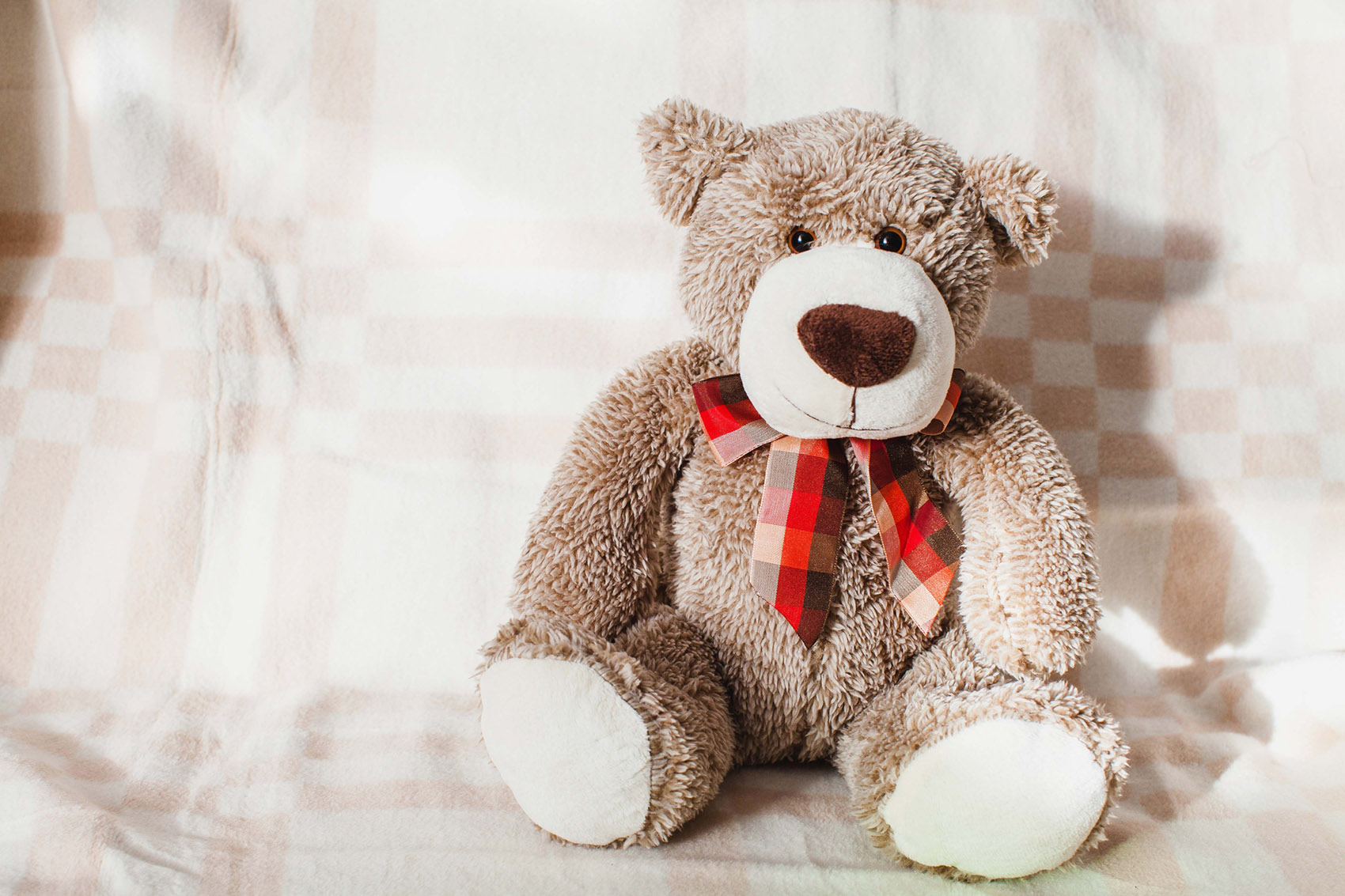 Teddy Bear, il metodo per combattere l’ansia