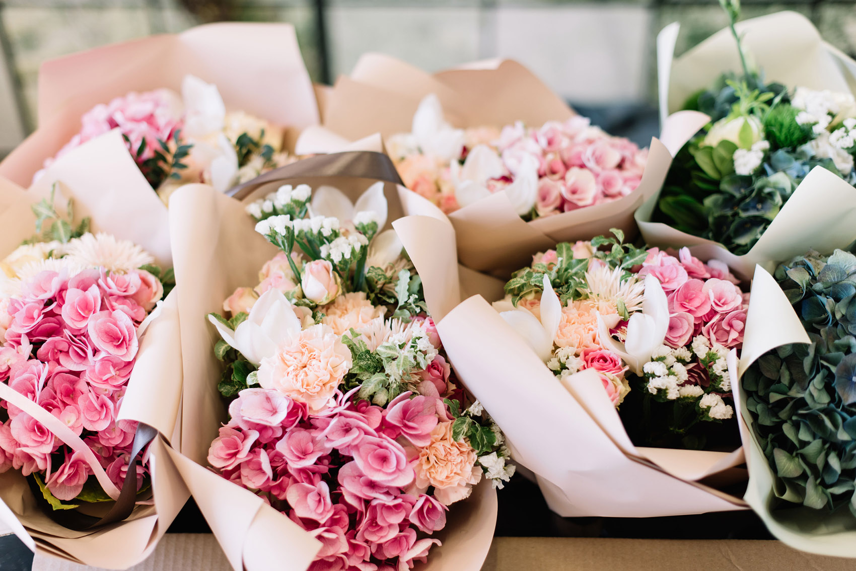 Anche fiori e piante si riciclano: come rigenerarle Anche fiori e piante si riciclano: come rigenerarle