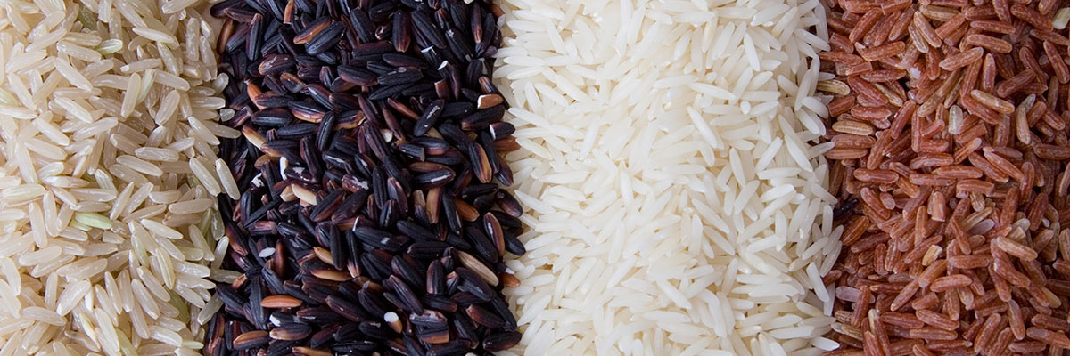 Riso, le novità per mangiare bene, sano e con gusto