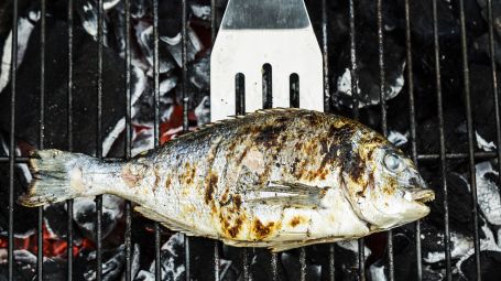 grigliata di orata, pesce