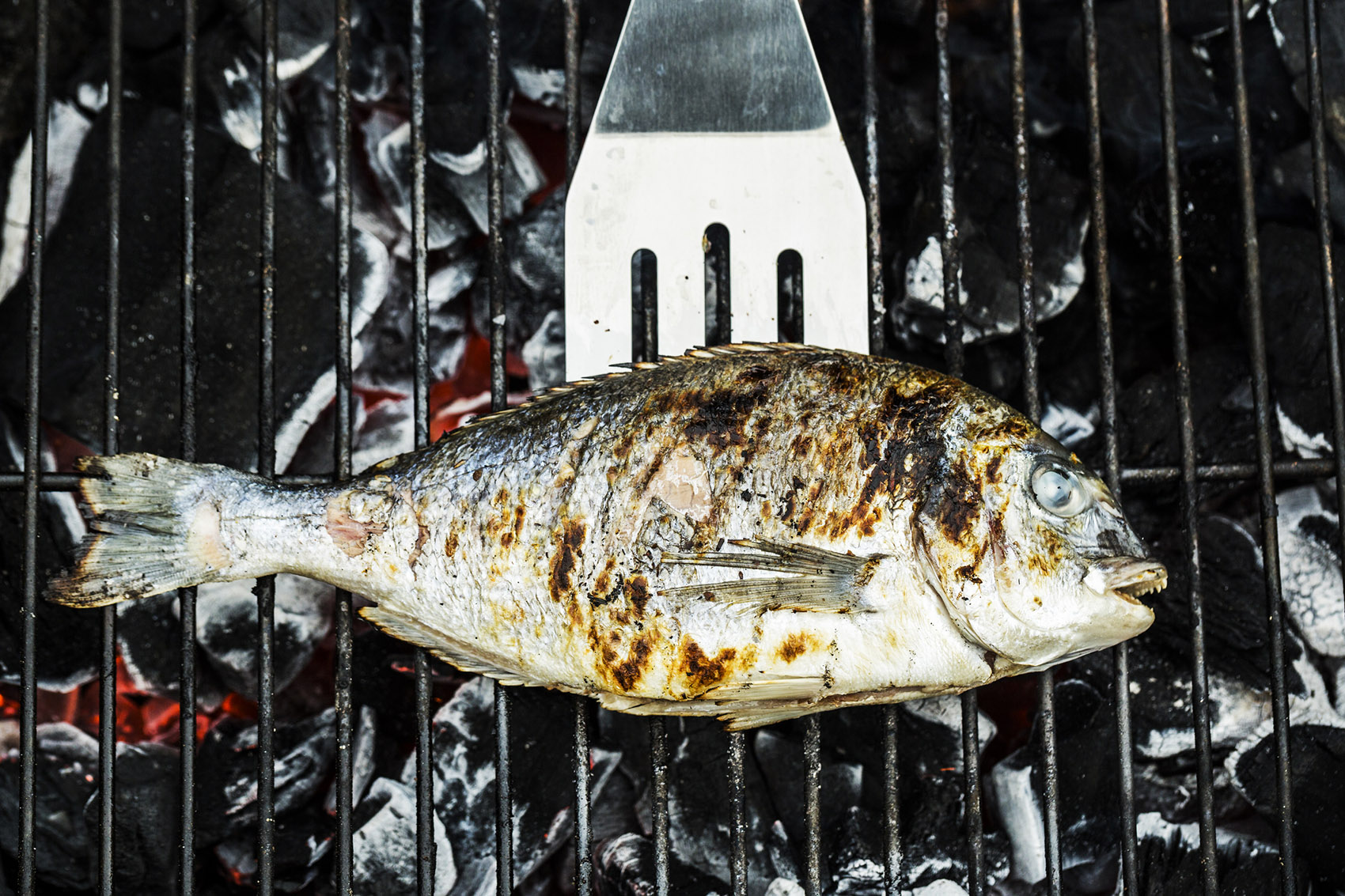 I consigli per una grigliata di pesce perfetta I consigli per una grigliata di pesce perfetta