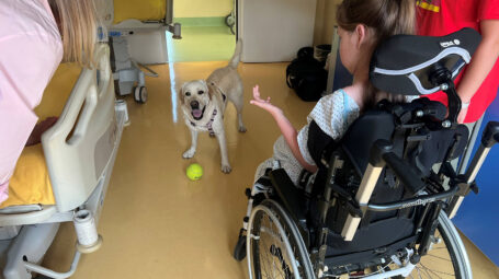 pet therapy - Purina