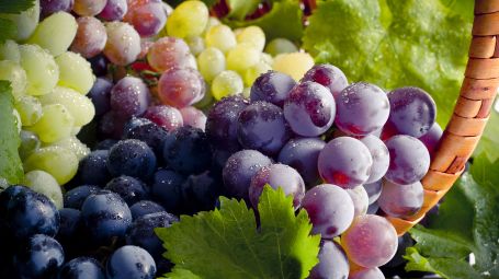 uva diverse varietà