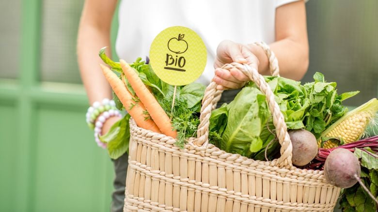 Microbiota e salute: il ruolo dei vegetali e del cibo bio