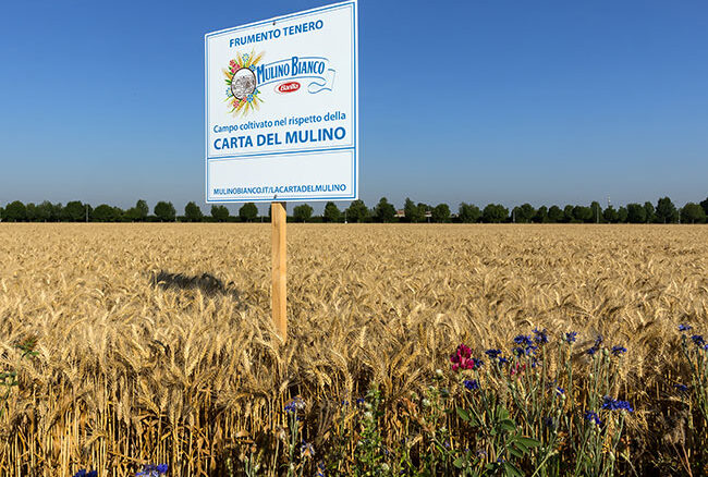 Galleria foto 'Buongrano, il biscotto che fa bene al pianeta' - foto 7