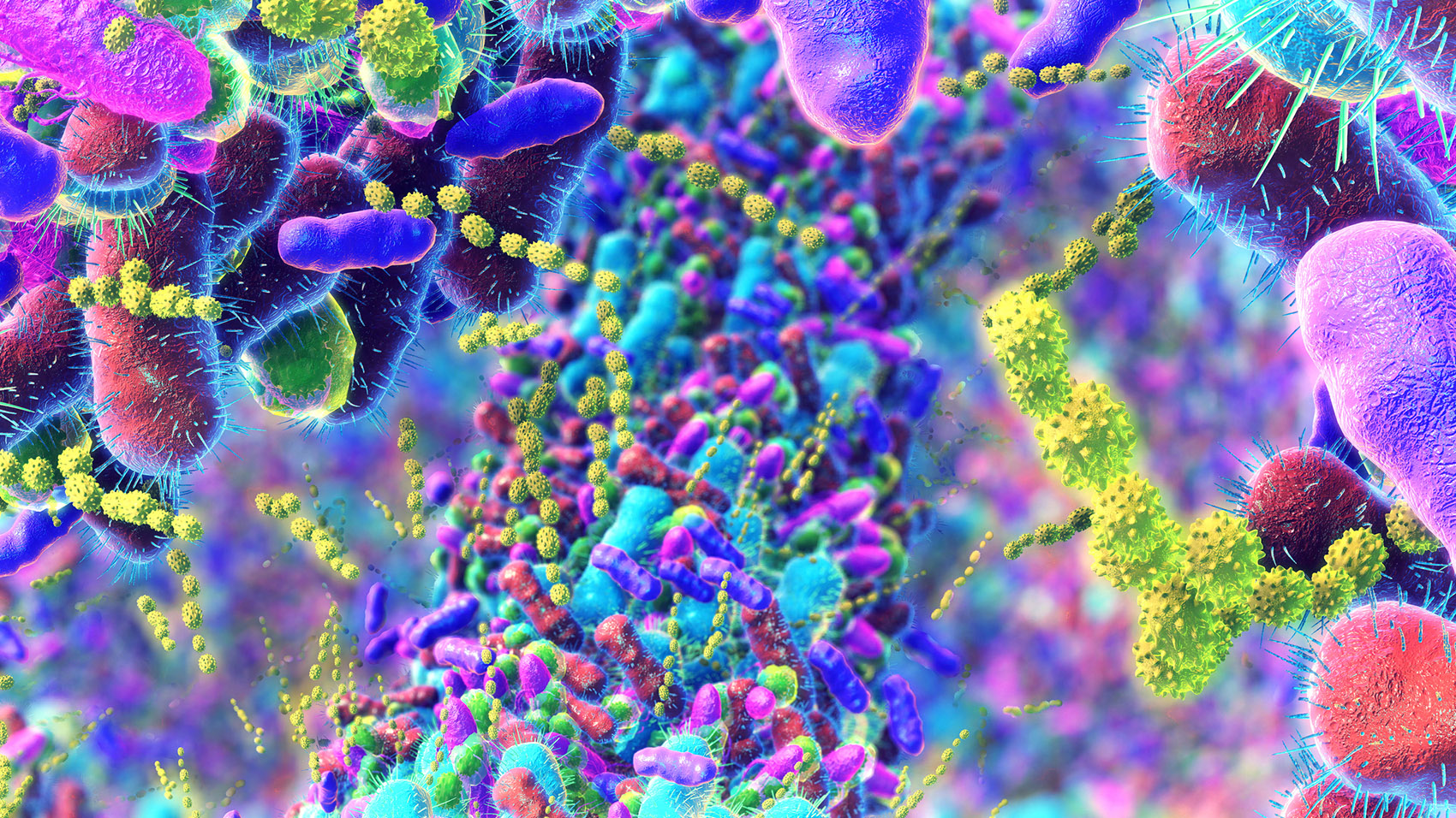 Microbiota intestinale: 10 verità fondamentali