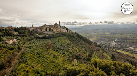 Cammina con gusto: alla scoperta dell’olio evo sulla via di Francesco