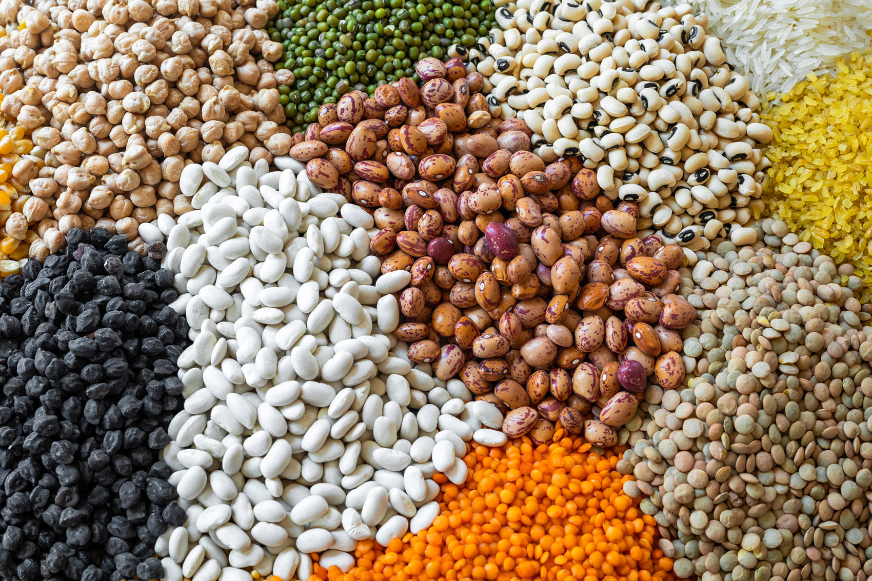 Legumi: perché ne mangiamo così pochi?