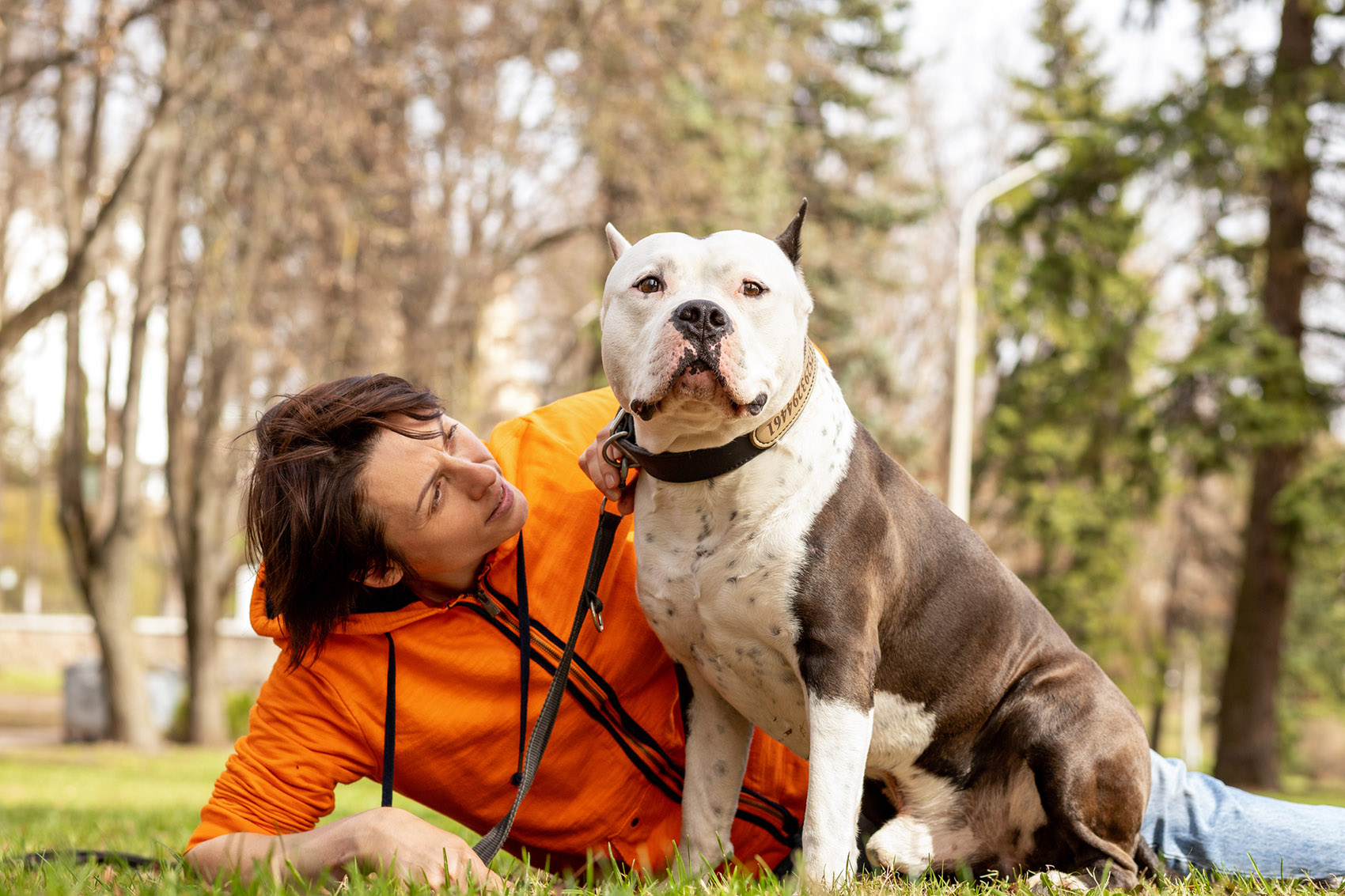 Cani bull: 5 consigli per prevenire le aggressioni (e gli abbandoni)
